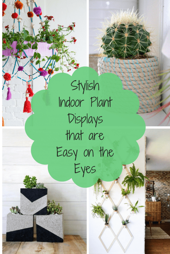 Stylish Indoor Plant Displays that are Easy on the Eyes – REASONS TO ...