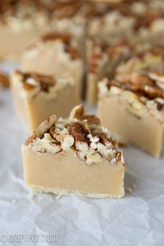 10 Fudge Recipes – REASONS TO SKIP THE HOUSEWORK