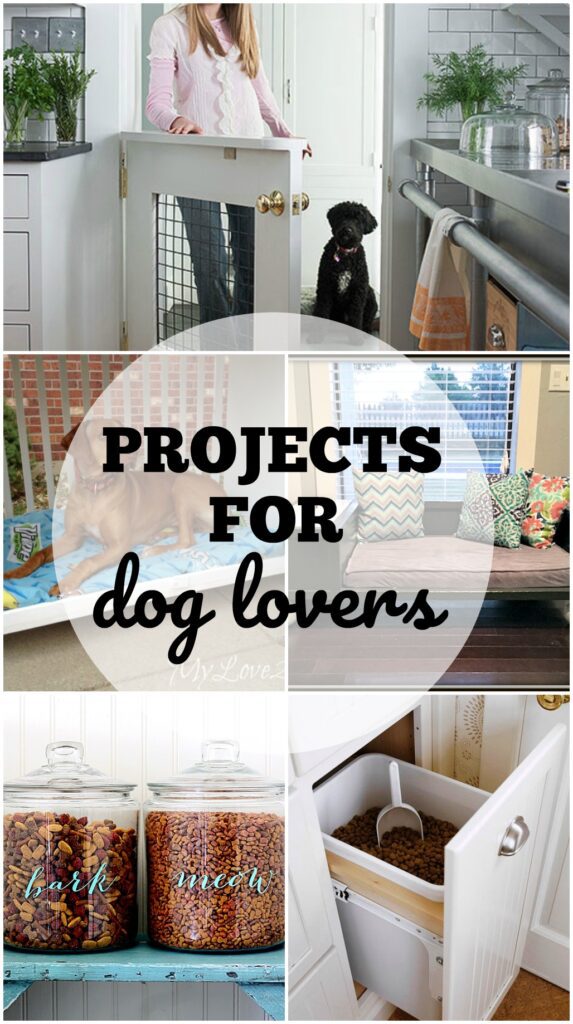 10 DIY Projects For Dog Lovers