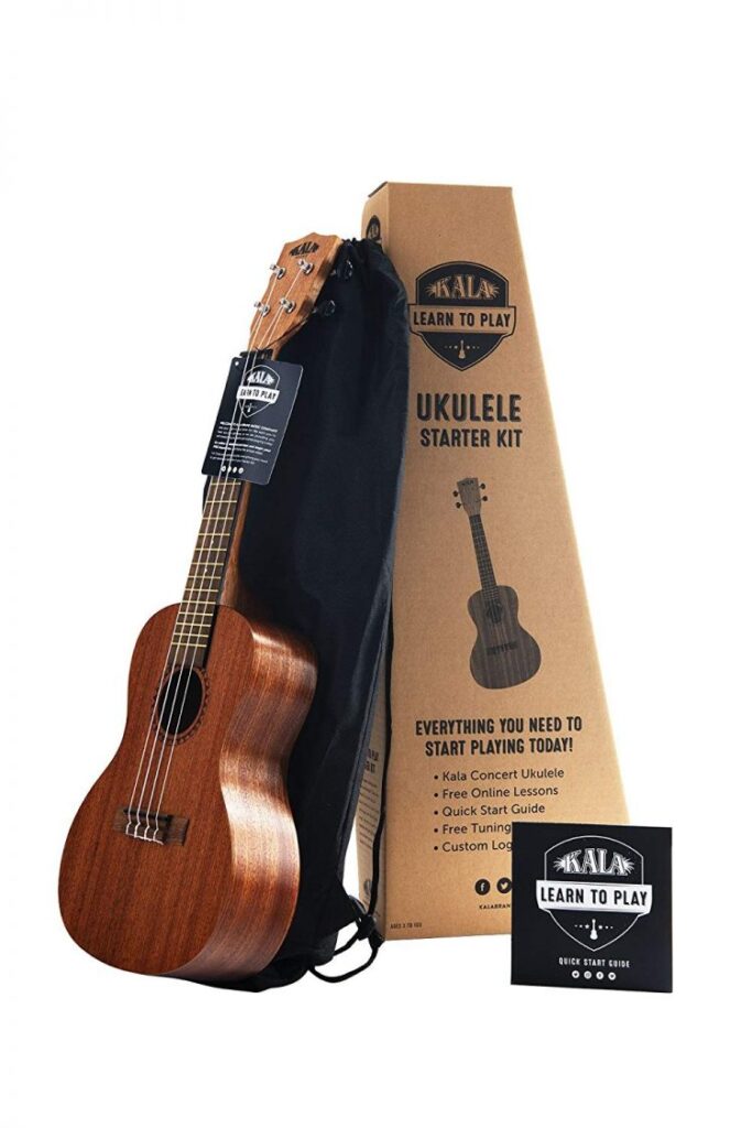 Top 10 Ukuleles Reviewed In 2019