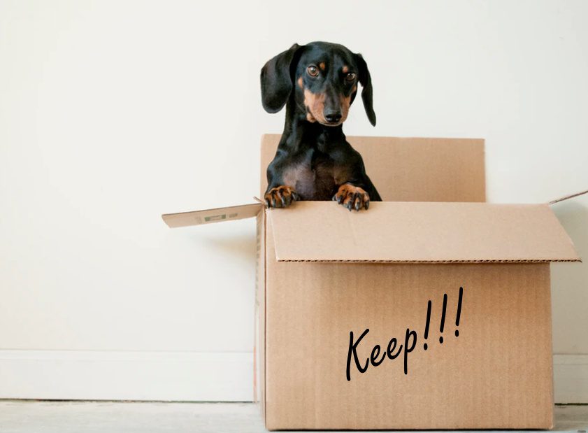daschund in a box labeled "keep" for decluttering article
